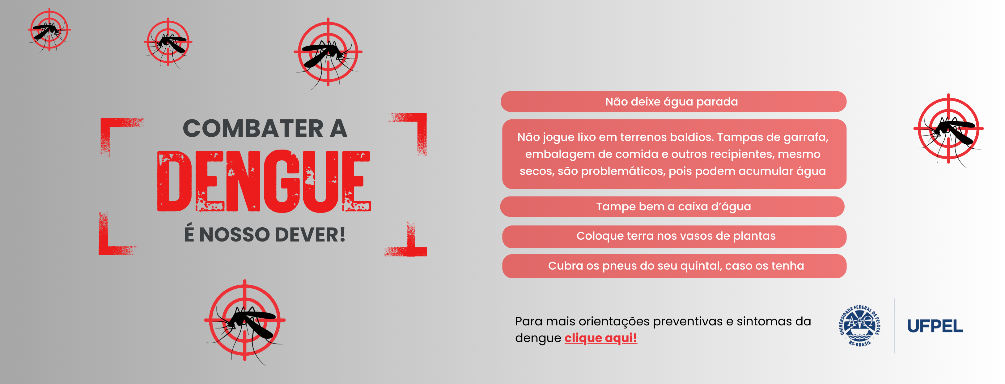 Combate à Dengue